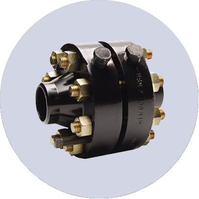 LTCS Orifice Flange