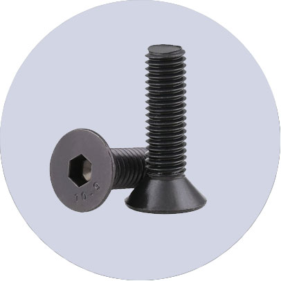 Carbon Steel Screw