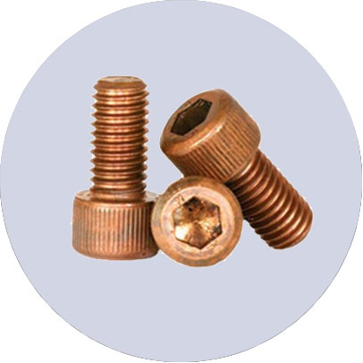 Copper Nickel 90/10 Screw