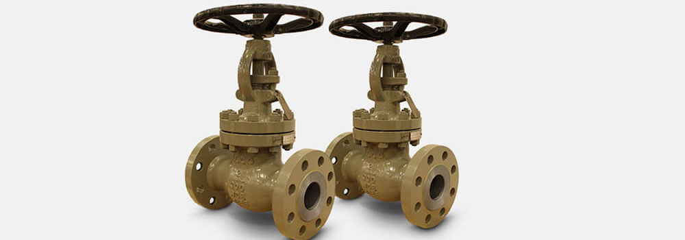 Globe Valves