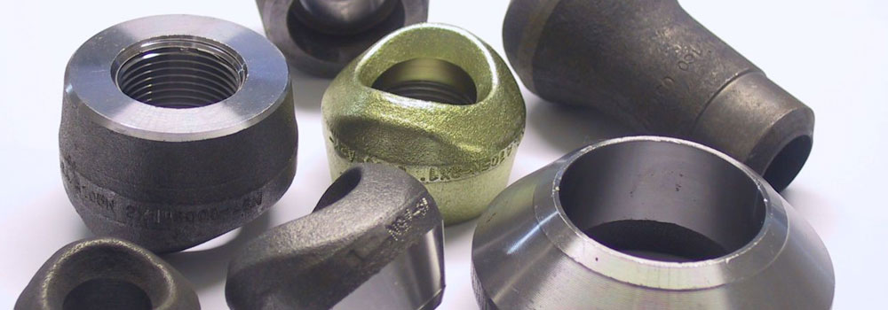 ASTM B366 Alloy 20 Olets