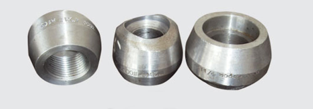 ASTM A182 Stainless Steel 446 Olets