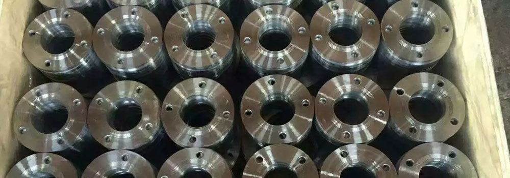 ASTM A182 Stainless Steel 317 Flanges