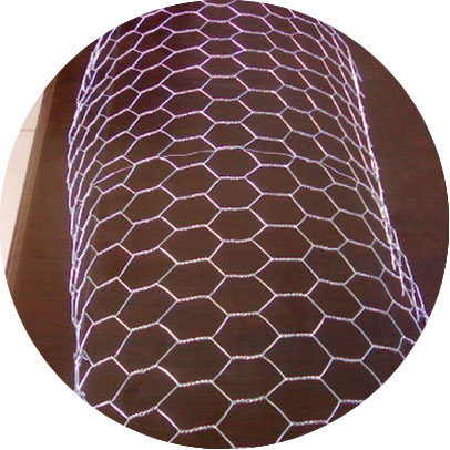 Hastelloy C276 Hexagonal Wire Mesh