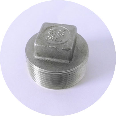 Stainless Steel 317L Threaded Plug